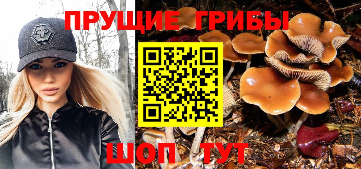 Псилоцибиновые грибы ЛСД  Вход с VPN  Минеральные Воды  где можно купить   Галлюциногенные грибы мицелий 